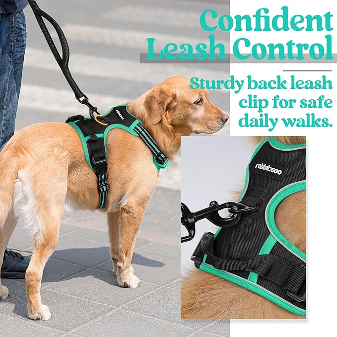rabbitgoo Dog Harness 2 Leash