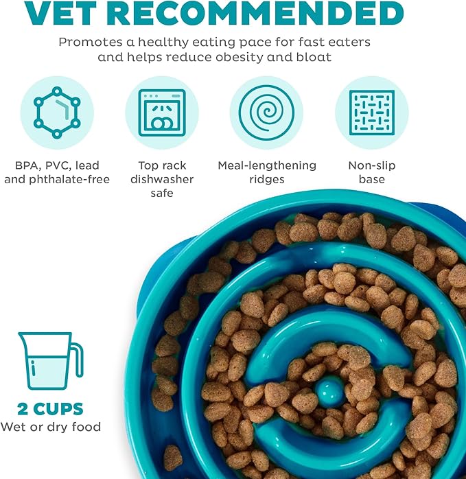 Outward Hound Fun Feeder Slo Bowl
