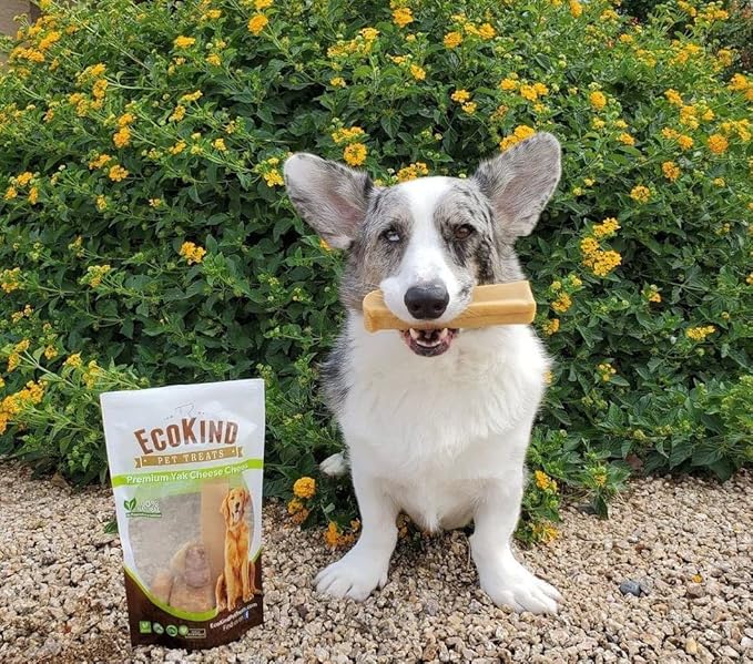 EcoKind Himalayan Yak Cheese Dog Chew (8 Small