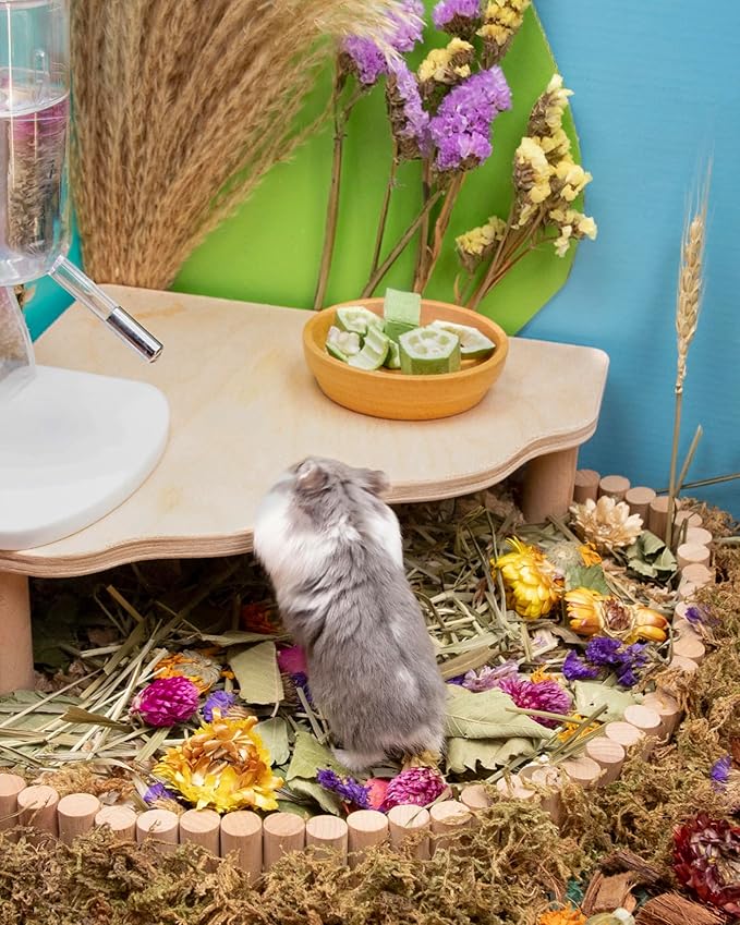 Niteangel Hamster Snack & Treats Toy 0.2oz (5.5g))