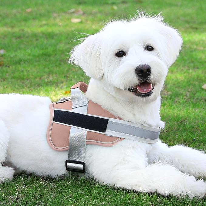 Bolux Dog Harness