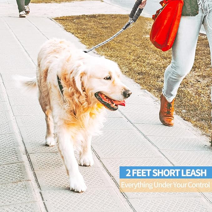 BAAPET 2/4/5/6 FT Dog Leash with Comfortable Padded Handle and Highly Reflective Threads for Small Medium and Large Dogs (2FT-1/2''