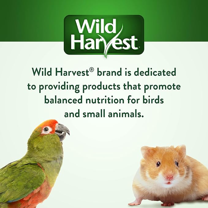 Wild Harvest Trail Treats 11 oz