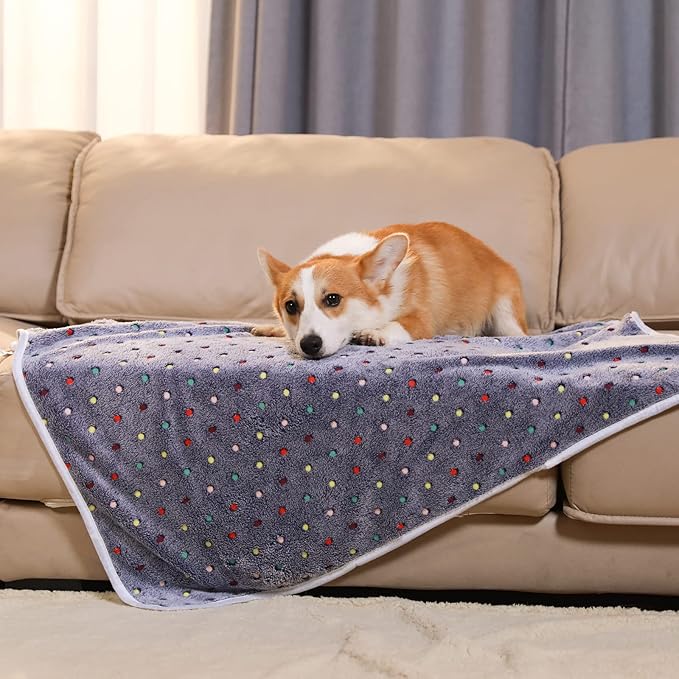 Luciphia 1 Pack 3 Blankets Super Soft Cute Dot Pattern Pet Blanket Flannel Throw for Dog Puppy Cat Dot Medium(30x20)