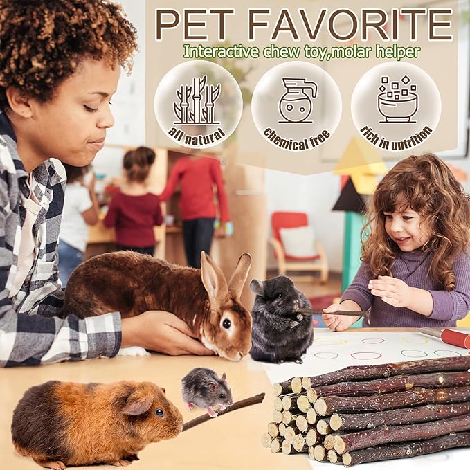 DELEMI 100g Natural Apple Sticks