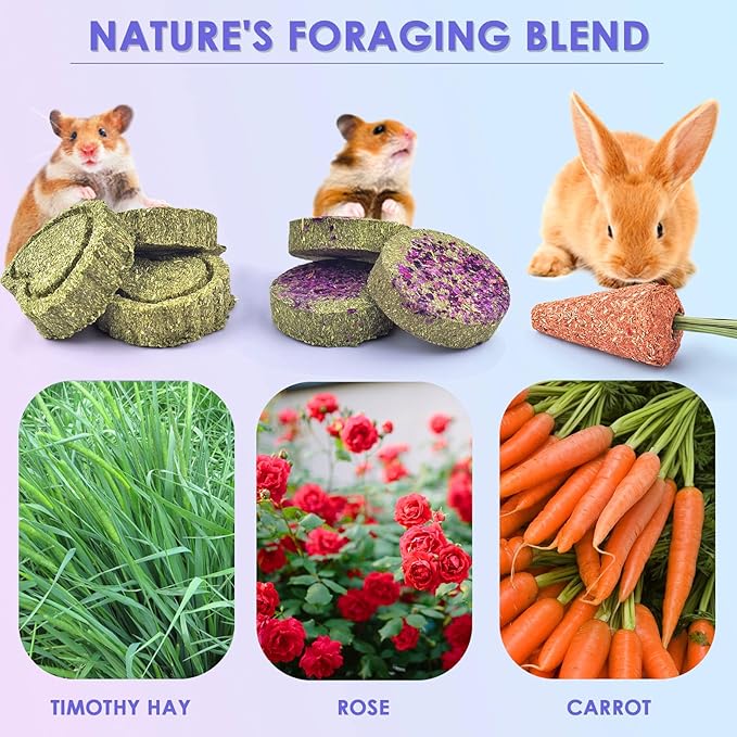 KATUMO 48PCS Timothy Hay Sticks for Rabbits