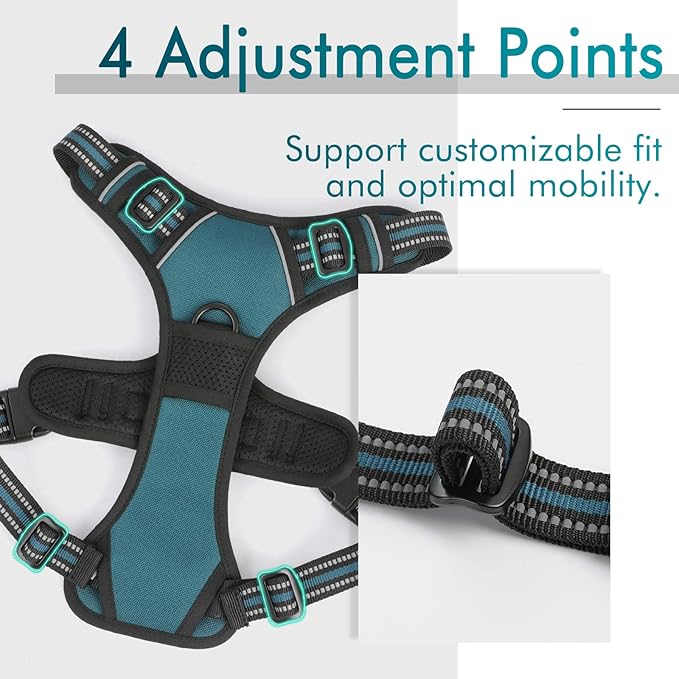 rabbitgoo Dog Harness 2 Leash