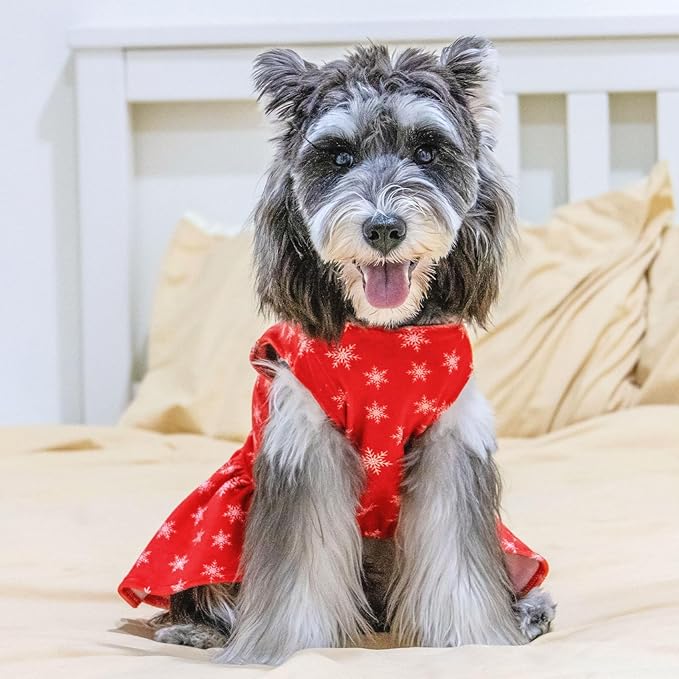 CuteBone Dog Dresses Velvet Holiday Small Dogs Clothes Onesie Pet Apparel Girl Puppy Skirt with Bow Hair Rope CVA36L