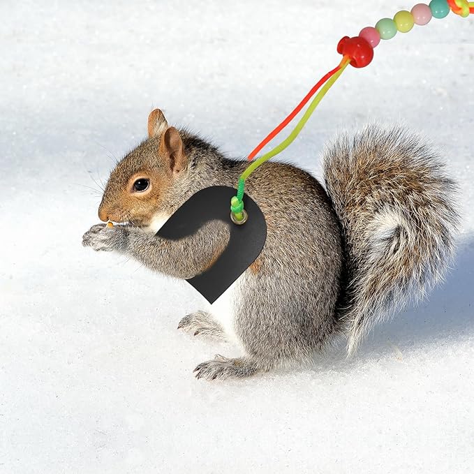 Bearded Dragon Leash & Harness 3 Size