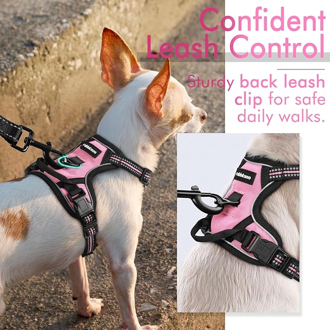 rabbitgoo Dog Harness 2 Leash