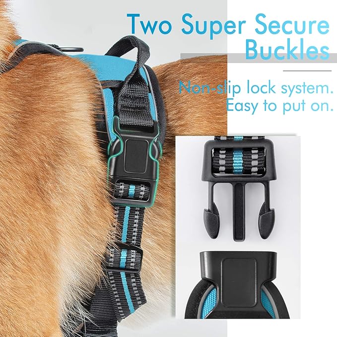 rabbitgoo Dog Harness 2 Leash