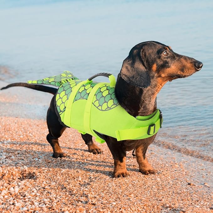 Queenmore Mermaid Dog Life Jacket Large