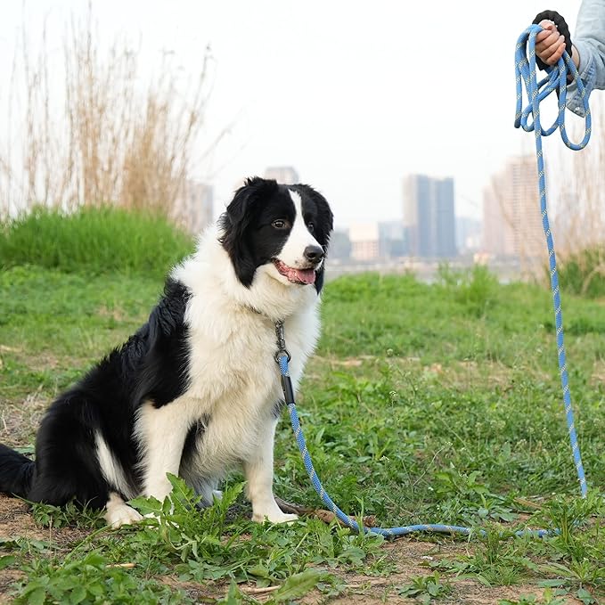 NTR Heavy Duty Dog Leash 15FT Long