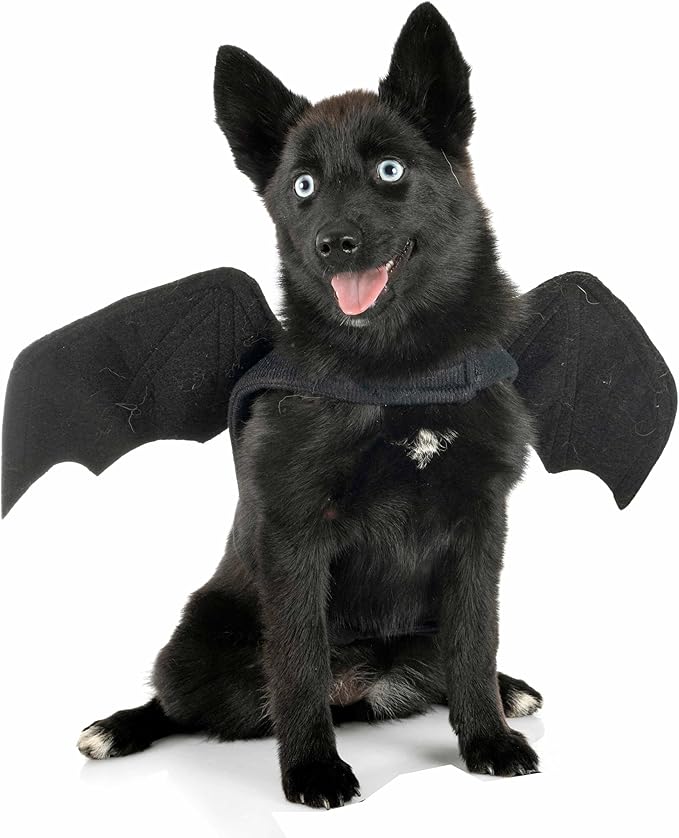 Halloween Costumes for Dogs