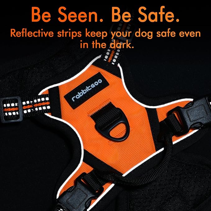 rabbitgoo Dog Harness 2 Leash
