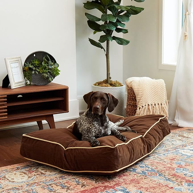 Buster Reversible Rectangle Pillow Style Dog Bed (42 x 30 in.)