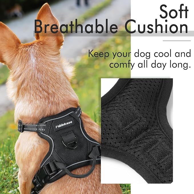rabbitgoo Dog Harness 2 Leash