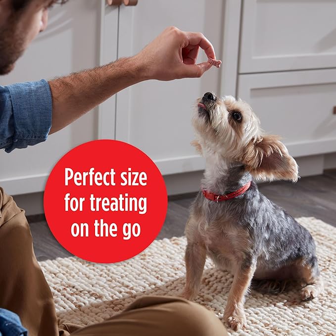 Milk-Bone Mini's Flavor Snacks Dog Treats 2.5 Ounce 20), Perfect