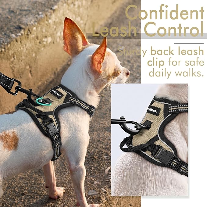 rabbitgoo Dog Harness 2 Leash