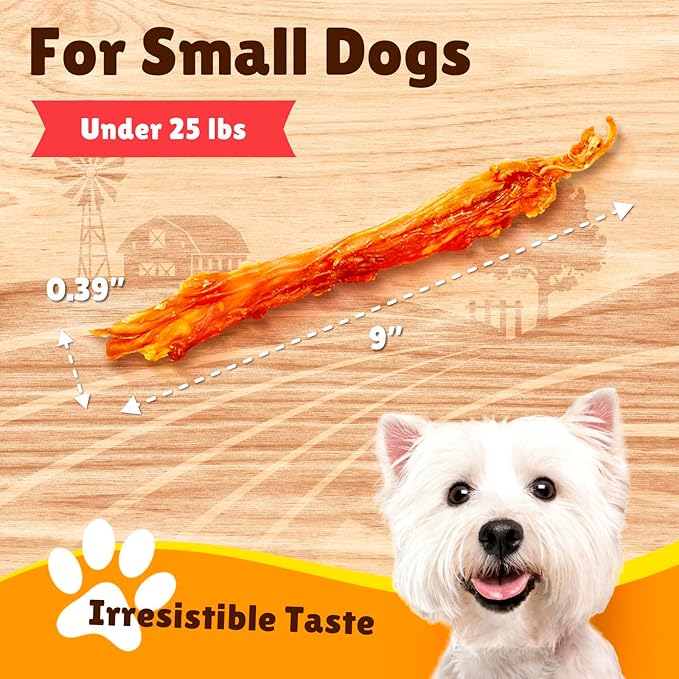 Gootoe Turkey Tendon Dog Treats – 100% USA-Sourced 1 lb, 1)