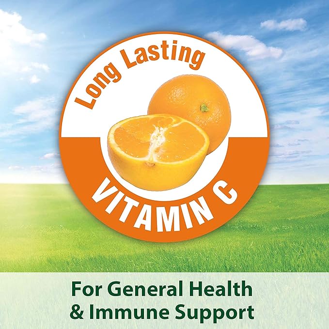 Kaytee Fiesta Guinea Pig Food 2.5-Pound