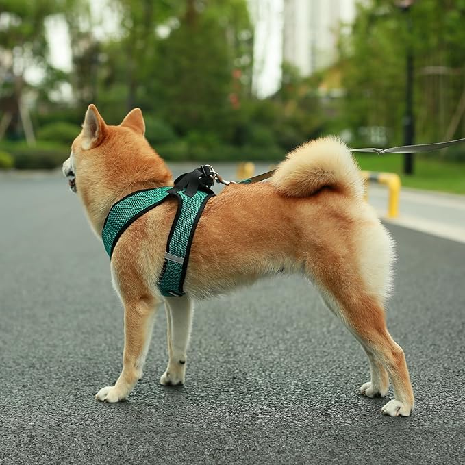 Voyager Step-in Air Dog Harness 2-Tone), XL 20.5-23")