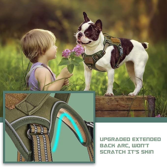 BUMBIN Tactical Dog Harness for Small Dogs No Pull