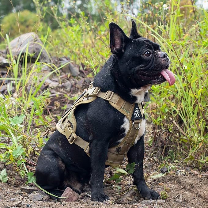 Tactical Dog Harness Vest with Handle