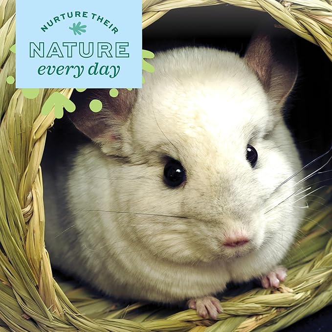 Oxbow Animal Health Timothy Hay Bungalow