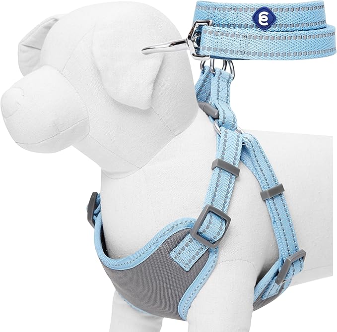Blueberry Pet Essentials Pastel Color Reflective Matching Dog Harness Vest and Leash Set in Baby Blue 5 ft