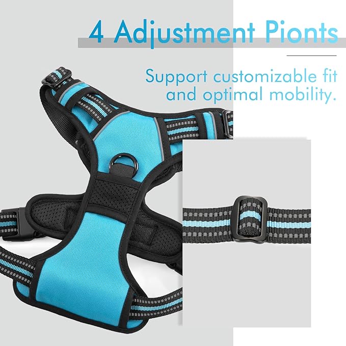 rabbitgoo Dog Harness 2 Leash