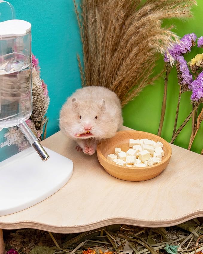 Niteangel Hamster Snack & Treats Toy 5mm - 0.7oz (20g))