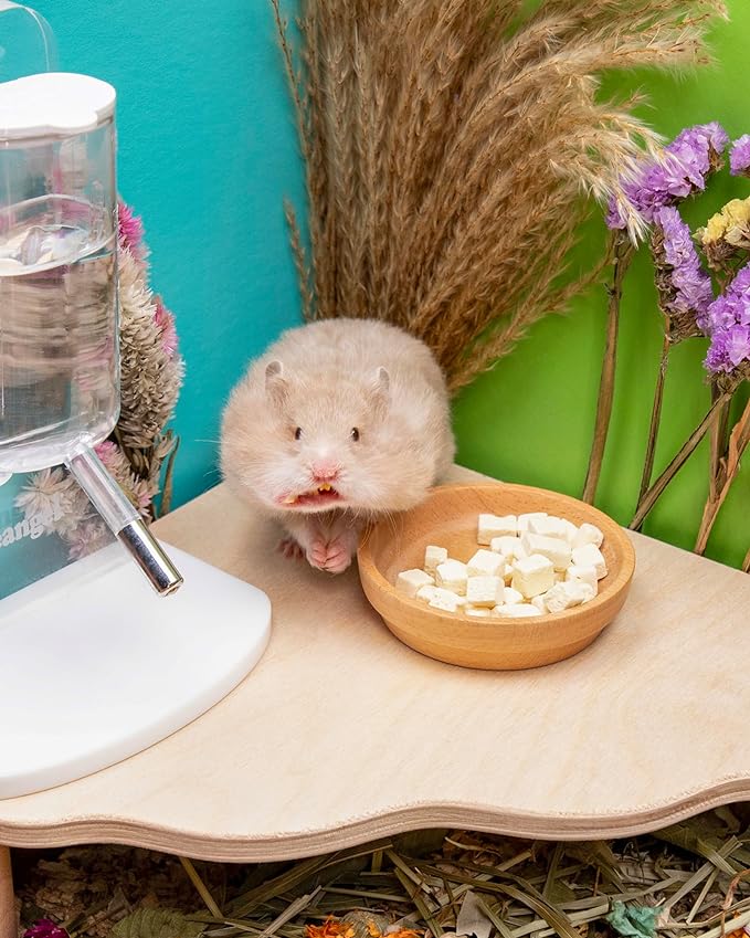 Niteangel Hamster Snack & Treats Toy 8mm - 0.7oz (19g))