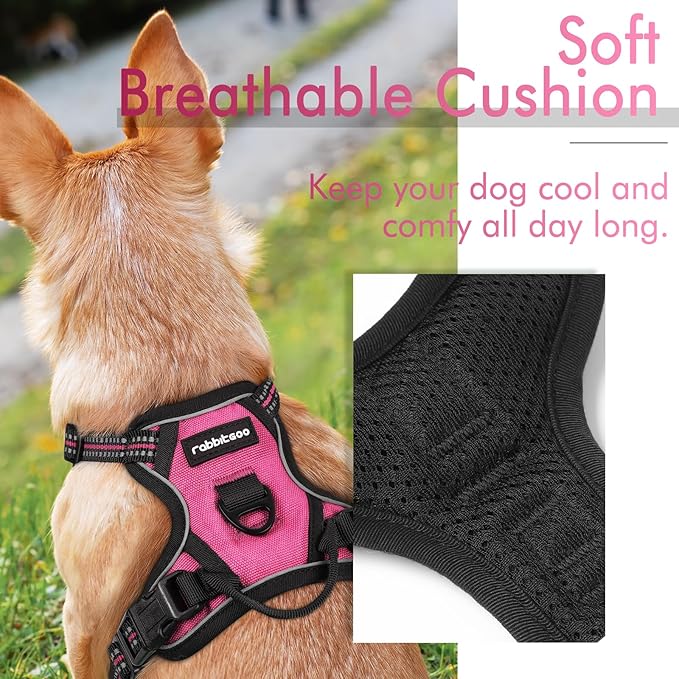 rabbitgoo Dog Harness 2 Leash
