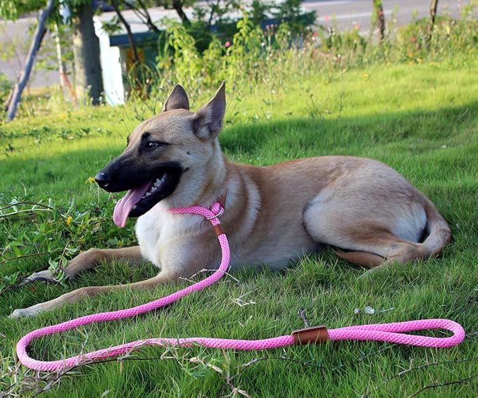 lynxking Dog Leash Slip Lead 5 6 8