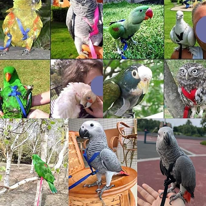 2 pcs Pet Parrot Bird Harness and Leash Between24-51cm /9.45-20inch