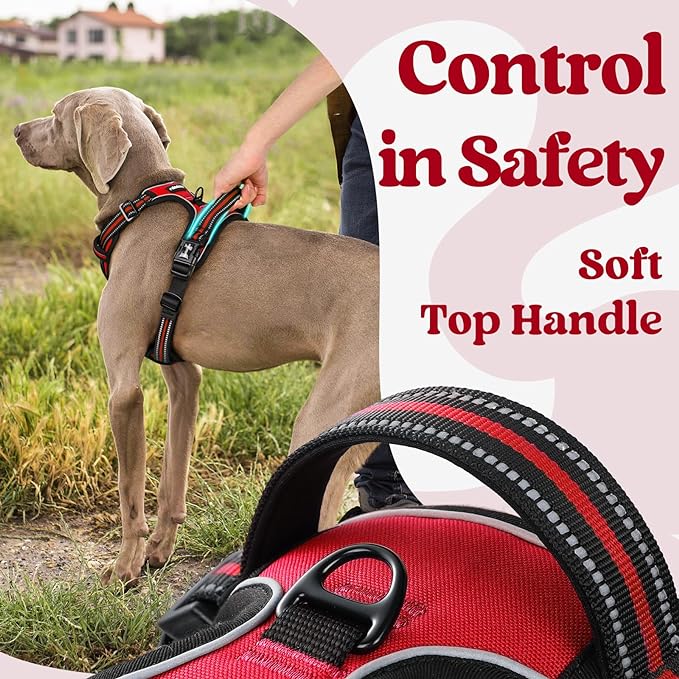 rabbitgoo Dog Harness Medium Sized 3 Buckles,