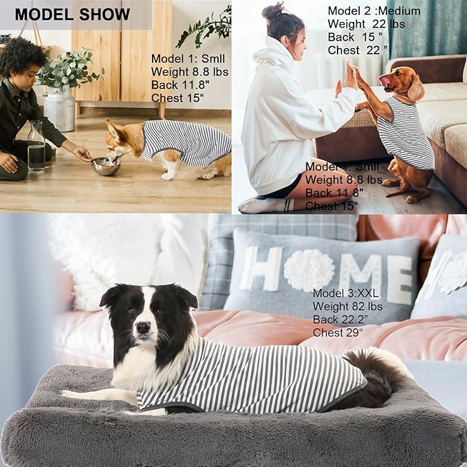 Dog Combed Cotton Tee Shirts Dogs,2 Pack
