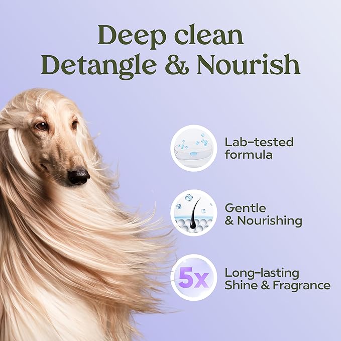 Pawfume Dog Shampoo and Conditioner – Hypoallergenic Dog Shampoo for Smelly Dogs – Best Dog Shampoos & Conditioners – Probiotic Pet Shampoo for Dogs – Best Dog Shampoo for Puppies (Lavender 4-Pack)
