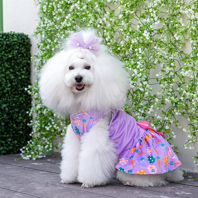 CuteBone White Rabbit Dog Easter Dress Velvet for Small Dogs Girl Eggs Skirt Puppy Purple Dresses Dog Clothes CVA19XS-D