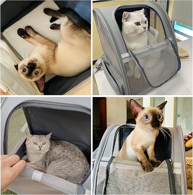 Texsens Pet Backpack Carrier for Small Cats Dogs