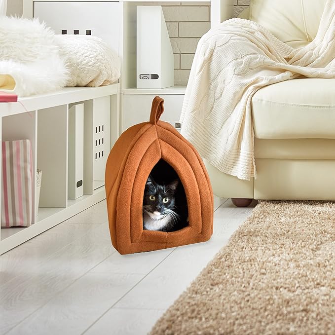 Cat House