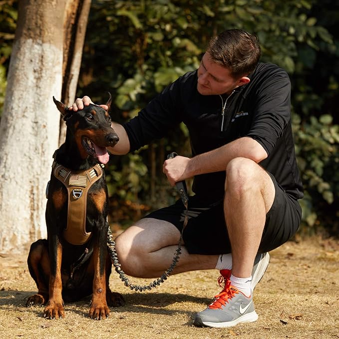 BUMBIN Tactical Dog Harness for Large Dogs No Pull