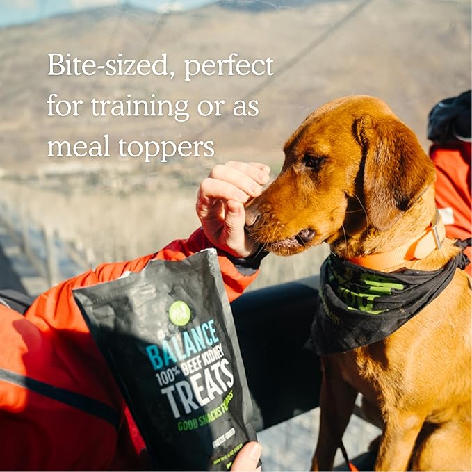 Get Joy Freeze Dried Superfood 100% Beef Kidney Dog Treats 4 Ounce