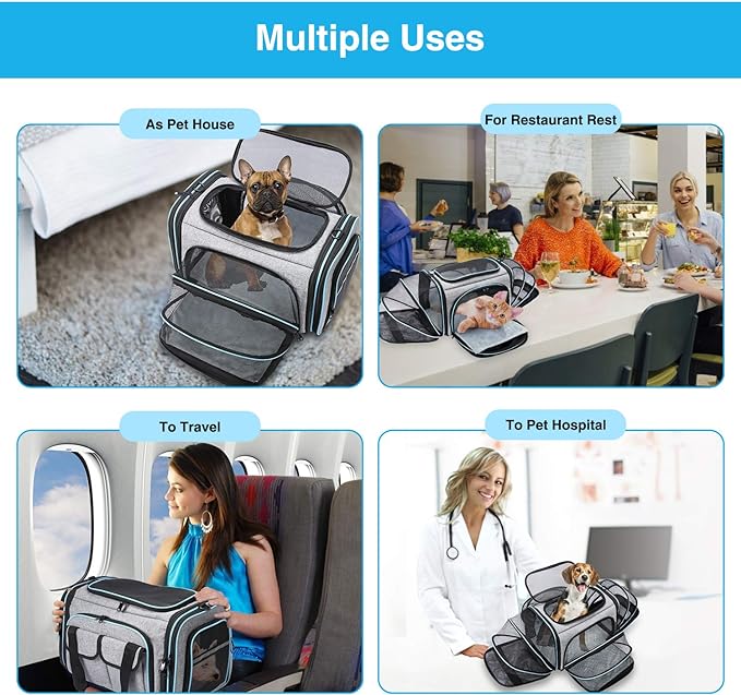 Airline Approved Pet Carrier 4 Sides