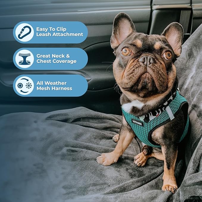Voyager Step-in Air Dog Harness 2-Tone), S 14.5-16")
