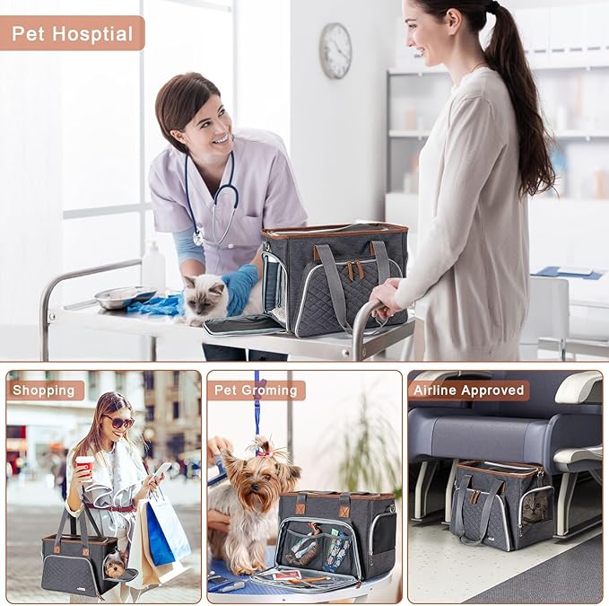 Small Dog Purse Carrier 12 Lbs,