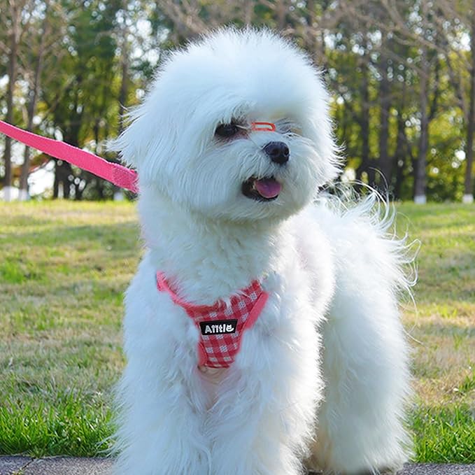AIITLE Easy Walk Dog Vest Harness and Leash Set