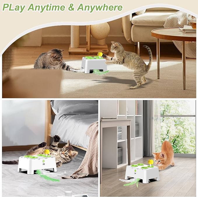 Interactive Cat Toys 2-in-1 Automatic 4 Holes