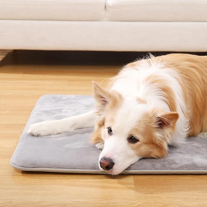 41 inch Washable Dog Crate Beds Pad